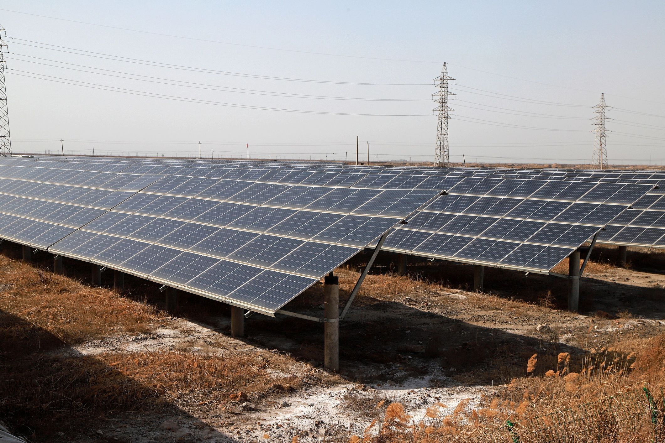 Large-scale solar photovoltaic power station with rows of blue solar panels